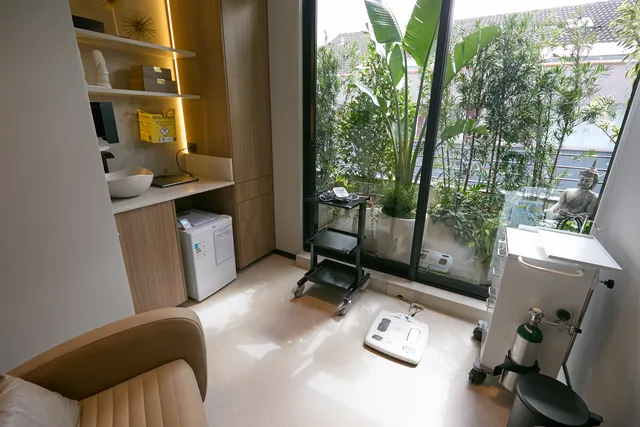 Sala de aplicação com poltrona reclinável, janela ampla e plantas.