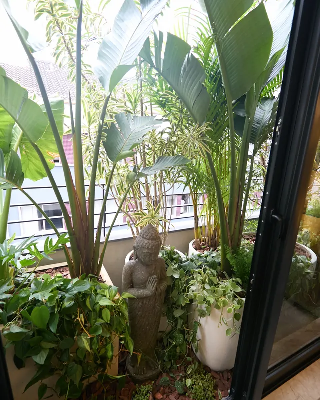 Jardim interno do consultório, com plantas tropicais junto à janela.